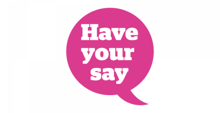 Have Your Say
